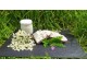 "TARTINETTE" Fromage fouetté à l'ail et à la ciboulette 120gr